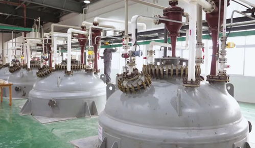 枝江環(huán)?？萍?打造一流營商環(huán)境，鑄就綠色發(fā)展品牌